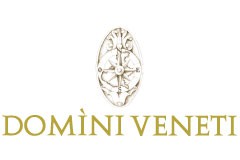 Domini Veneti